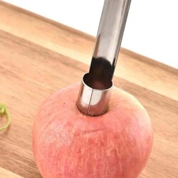 Apple Carver (Eo-15) - 5
