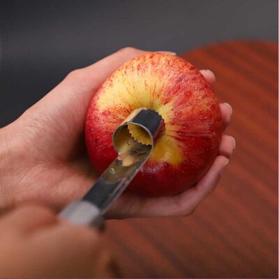 Apple Carver (Eo-15) - 4