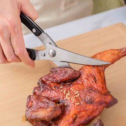 Chicken Scissors (Tm-01) - 5