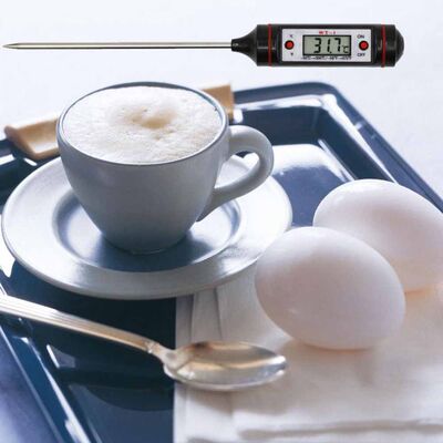Digital Thermometer (Dt-01) - 5