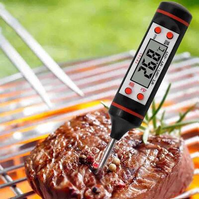 Digital Thermometer (Dt-03)