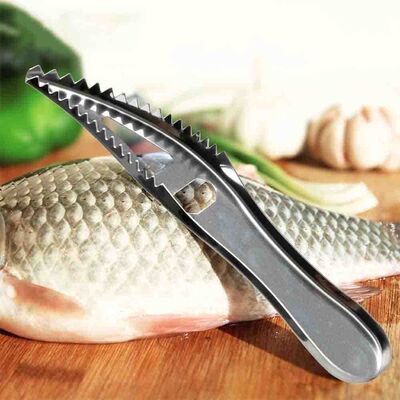Fish Peeler (Bps-19) - 5